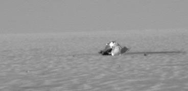 NASA's Mars Exploration Rover Opportunity took this image when the rover was 427 feet from its heat shield on Dec. 19, 2004. The protective device shielded the rover from intense frictional heat as it entered the martian atmosphere.