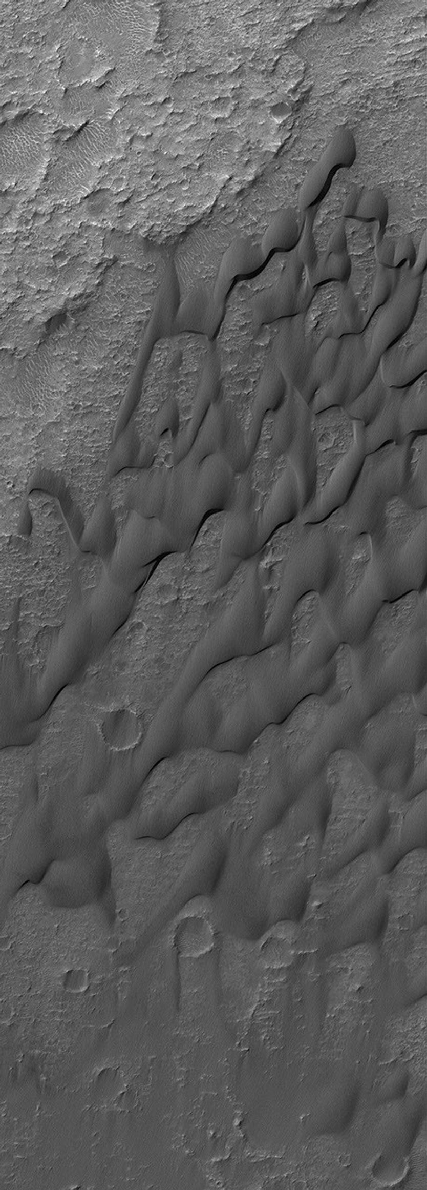 NASA's Mars Global Surveyor shows dark, windblown sand dunes on the floor of Herschel Crater on Mars. The surfaces of the dunes have grooves eroded into them. This indicates that the sand is not loose, like it is in typical sand.
