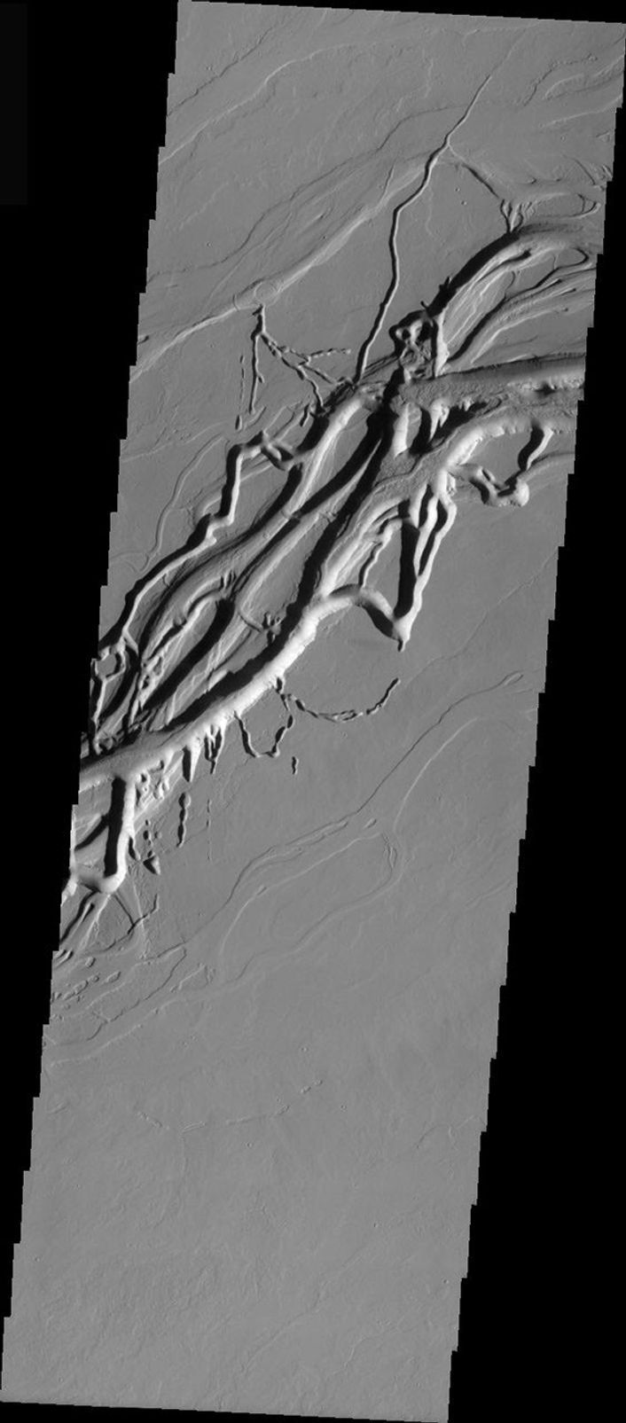 This image released on Dec 2, 2004 from NASA's 2001 Mars Odyssey shows Olympica Fossae, located closer to Alba Patera on Mars. A deep main channel and nearby collapse channels are seen.