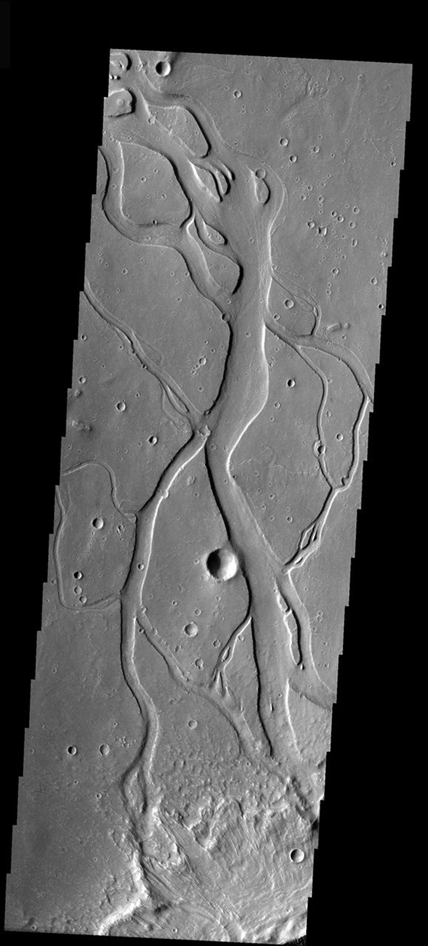 This image released on Dec 3, 2004 from NASA's 2001 Mars Odyssey shows a portion of Hebrus Vallis, a channel system on Mars located south of Granicus Vallis. Like Granicus Vallis, Hebrus Vallis originates close to the base of the Elysium volcanic complex.