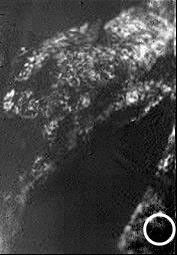 A view of ESA's Huygens' landing site based on initial, best-guess estimates. Scientists on the Huygens Descent Imager/Spectral Radiometer science team are still working to refine the exact location of the probe's landing site.