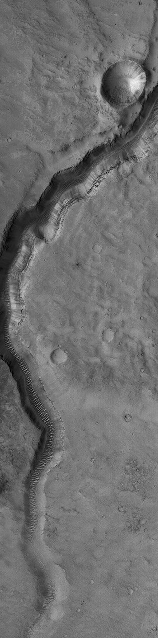 NASA's Mars Global Surveyor shows an ancient valley in far northwestern Arabia Terra, near the Cydonia region on Mars. Large, windblown ripples occur on the valley floor.