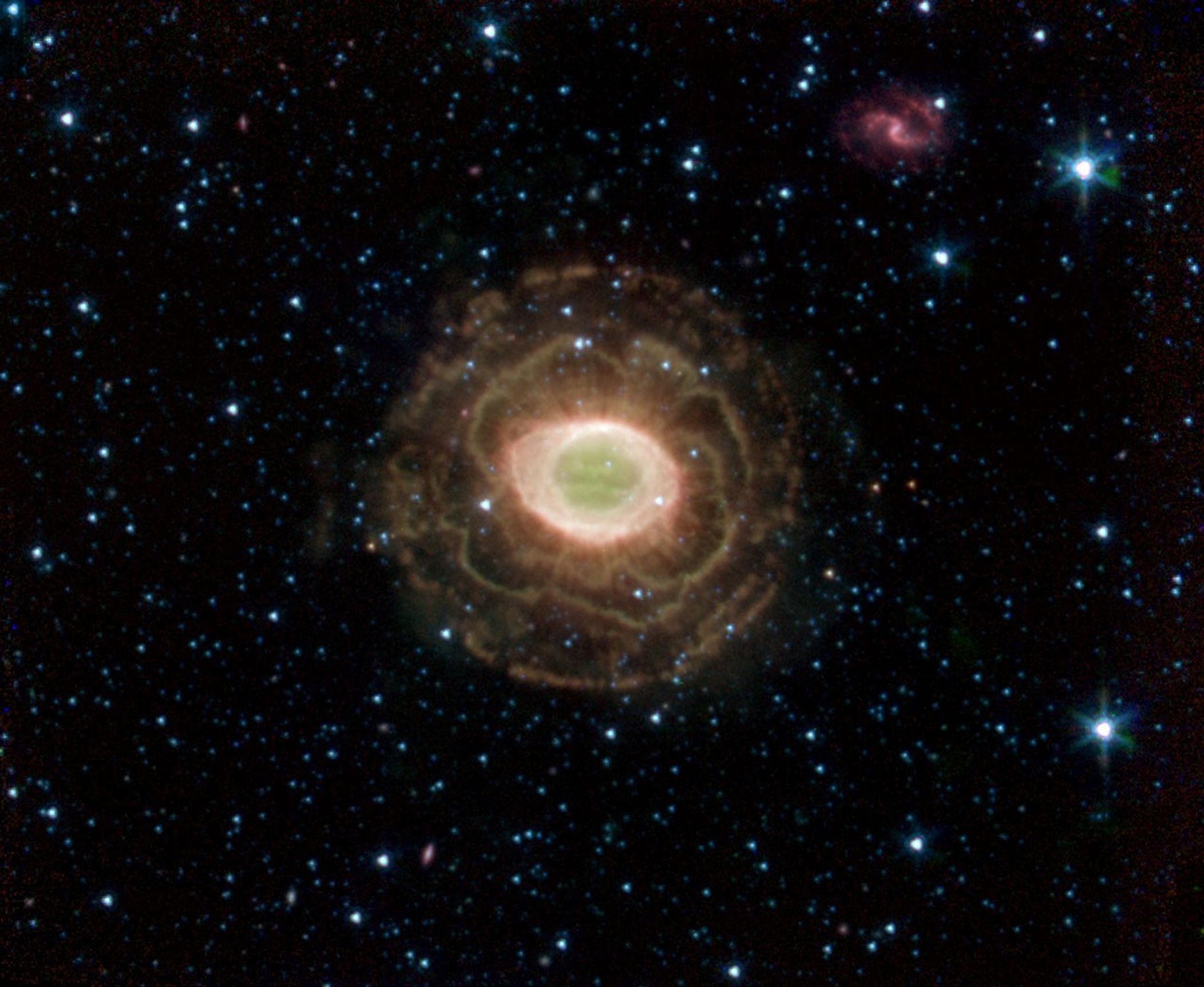 NASA's Spitzer Space Telescope finds a delicate flower in the Ring Nebula, as shown in this image. The outer shell of this planetary nebula looks surprisingly similar to the delicate petals of a camellia blossom.