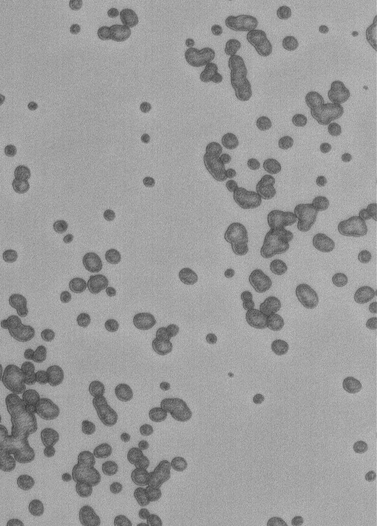 NASA's Mars Global Surveyor shows pits formed by sublimation in the frozen carbon dioxide of the martian south polar residual cap.