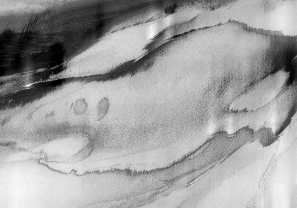 This image, part of THEMIS art month, taken by NASA's Mars Odyssey features a portion of Mars' landscape looking like the face of a greyhound.