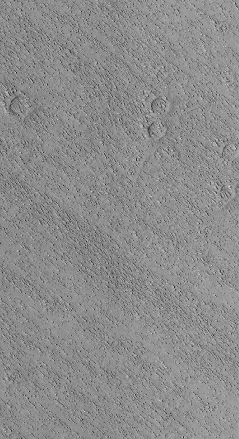 NASA's Mars Global Surveyor shows small wind-eroded ridges, known to geologists as yardangs, in the Eumenides Dorsum region of Mars.