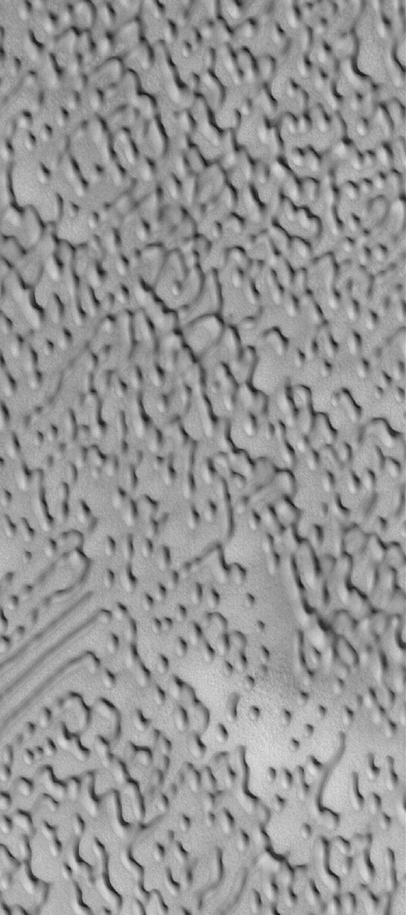 NASA's Mars Global Surveyor shows north polar dune morphologies on Mars.