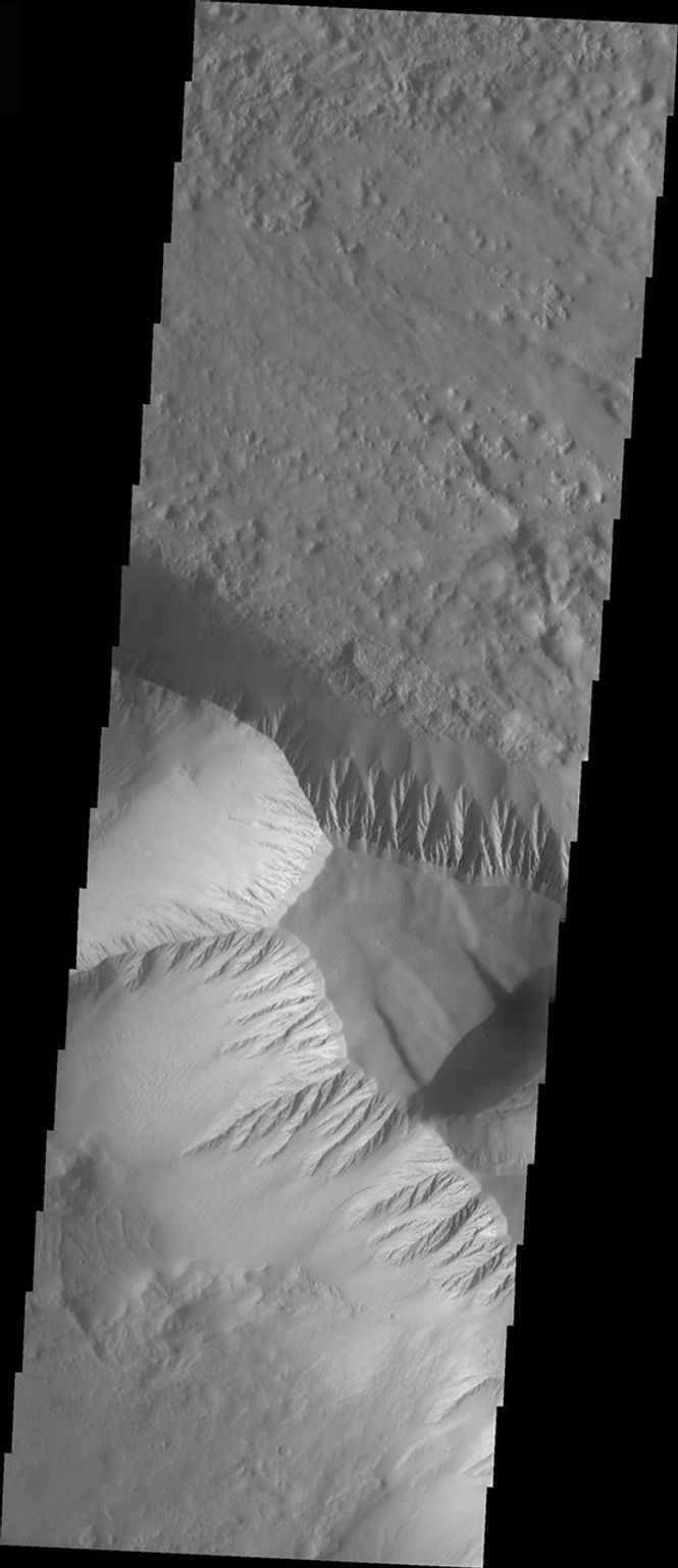 This image taken by NASA's Mars Odyssey shows Olympus Mons which contains a a feature type on Mars called a Mensa, from the Latin word for 'table.' A Mensa is a flat-topped prominence with cliff-like edges.