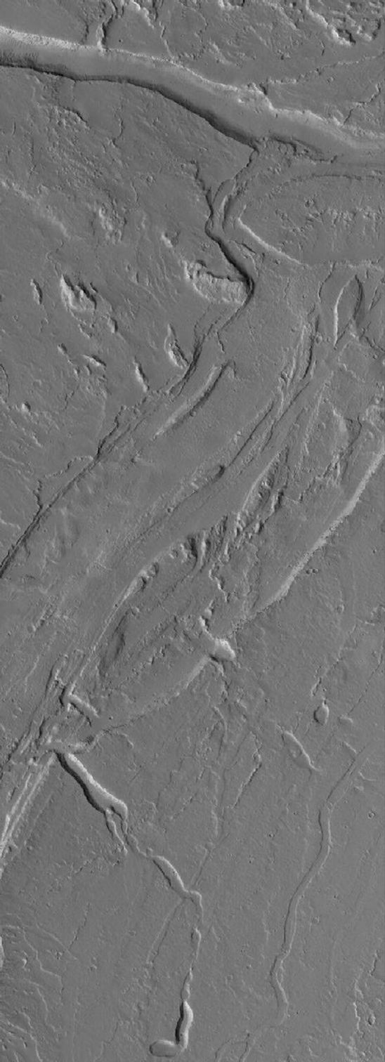 NASA's Mars Global Surveyor shows channels on the plains southeast of Olympus Mons on Mars.