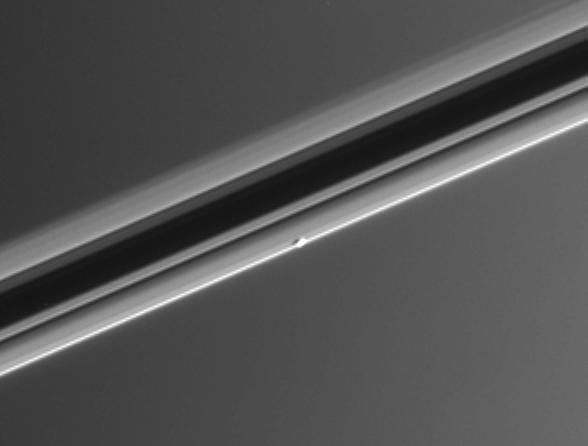 From a viewing angle slightly above the ringplane, NASA's Cassini spacecraft spied Saturn's moon Atlas, which orbits Saturn between the broad A ring and the thin F ring.