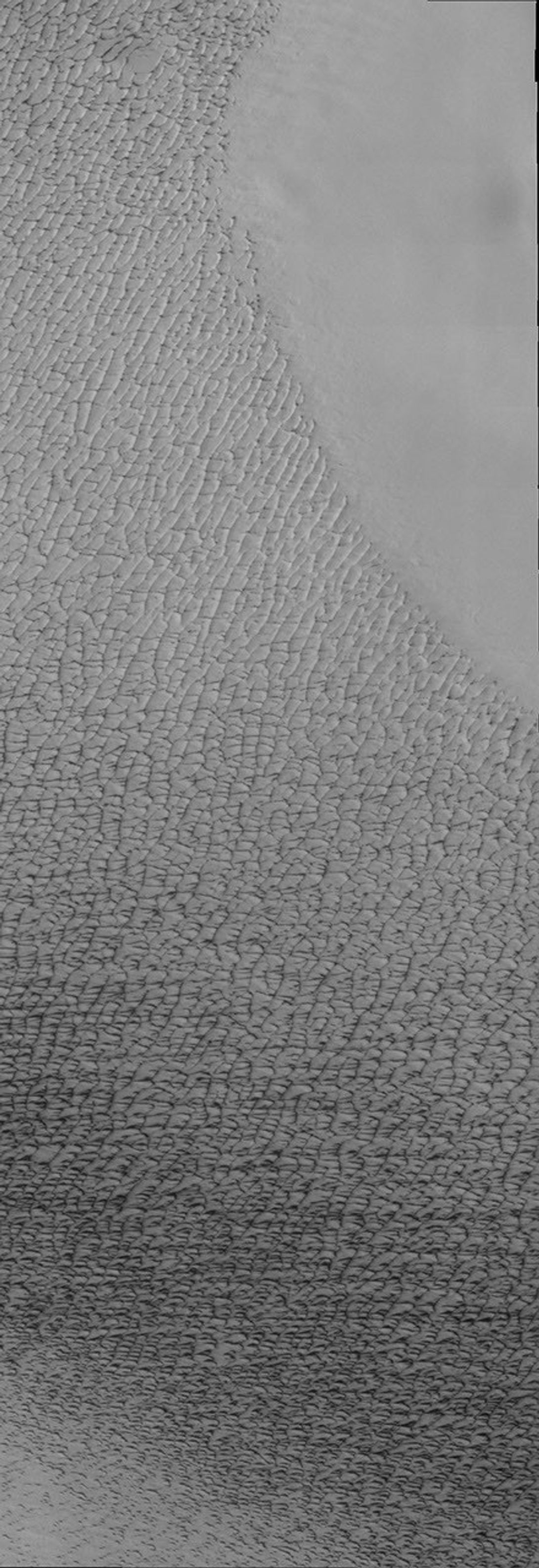 This image taken by NASA's Mars Odyssey shows the north polar sand sea on Mars, and at isolated dune fields at lower latitudes.