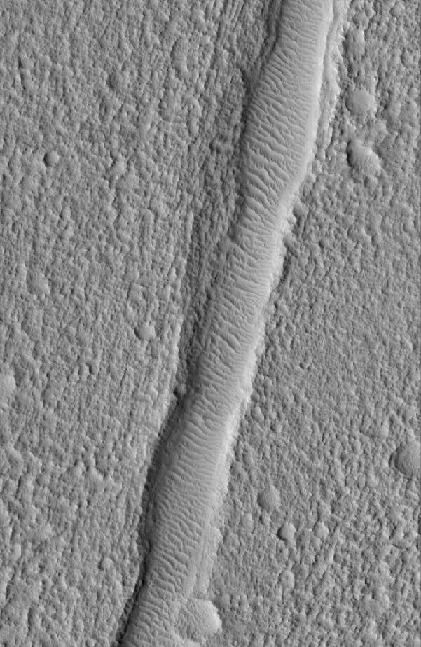 NASA's Mars Global Surveyor shows a wind ripple-filled trough, a fracture in a rugged and pitted plain, located northwest of Kasei Valles in the Nilus Chaos region of Mars.
