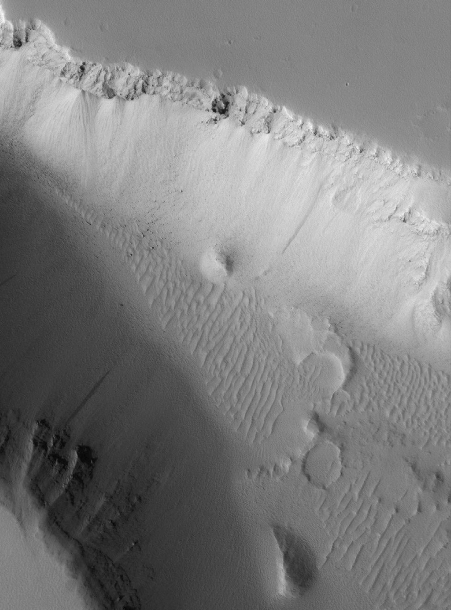 NASA's Mars Global Surveyor shows a high resolution view of the floor and walls of a trough located west of the Elysium Mons volcano on Mars. The trough cuts through layered and dust-mantled rock.