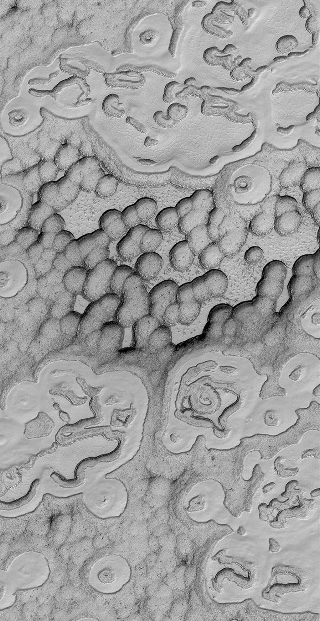 This image from NASA's Mars Global Surveyor shows a spectacular summertime view of a portion of the south polar residual cap.