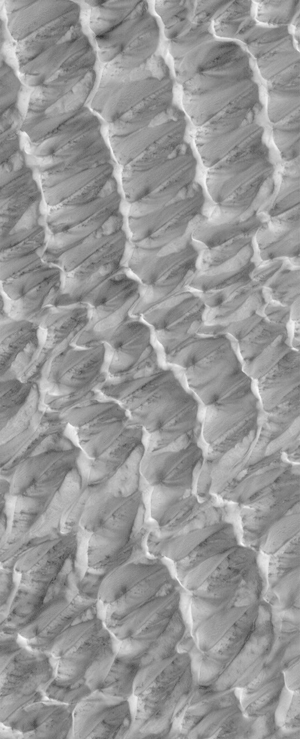 This NASA Mars Global Surveyor image shows dunes in the north polar region of Mars covered by a layer of carbon dioxide frost that accumulated during the winter in 2005. Dark spots indicate areas where frost has begun to sublime away.