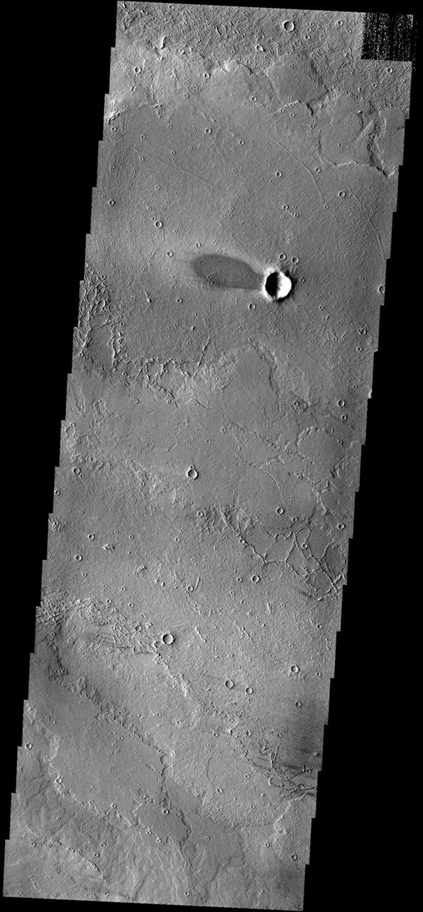 This windstreak is located on lava flows west of Arsia Mons on Mars as seen by NASA's 2001 Mars Odyssey spacecraft.