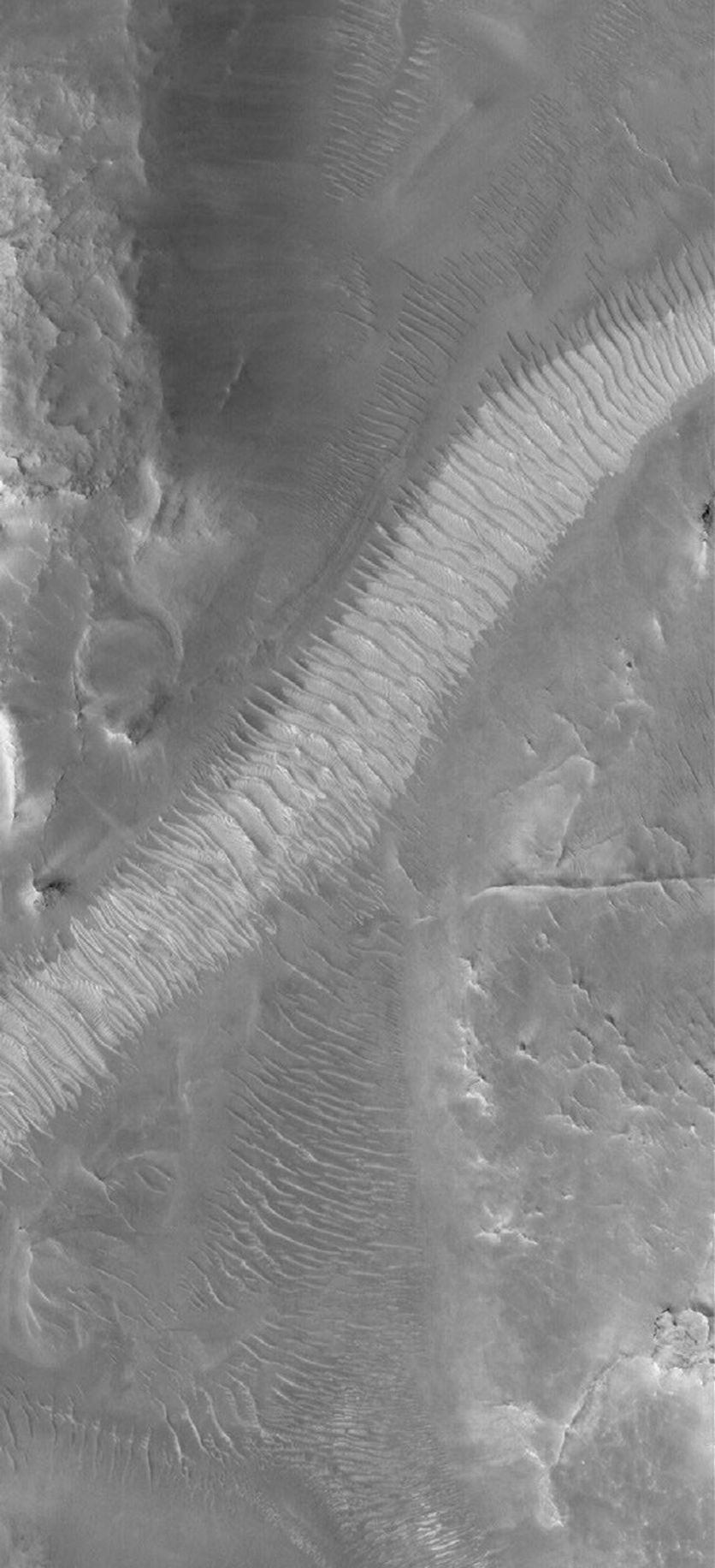 NASA's Mars Global Surveyor shows windblown ripples on the floor of Auqakuh Vallis on Mars. The light-toned area, running diagonally across the scene may be dust that has accumulated in the bottom of the valley and on top of the ripples.