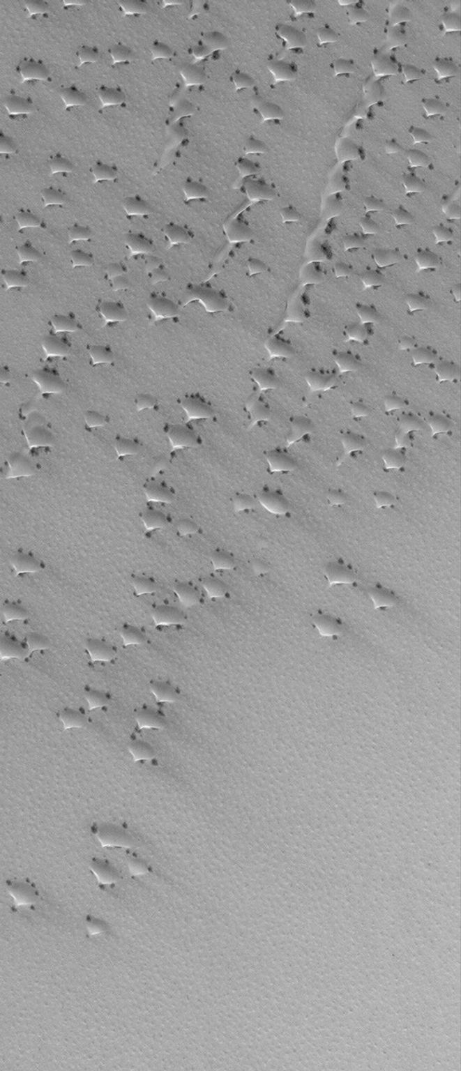 NASA's Mars Global Surveyor shows dunes covered with a seasonally-deposited layer of solid carbon dioxide (CO2) in the north polar region of Mars.