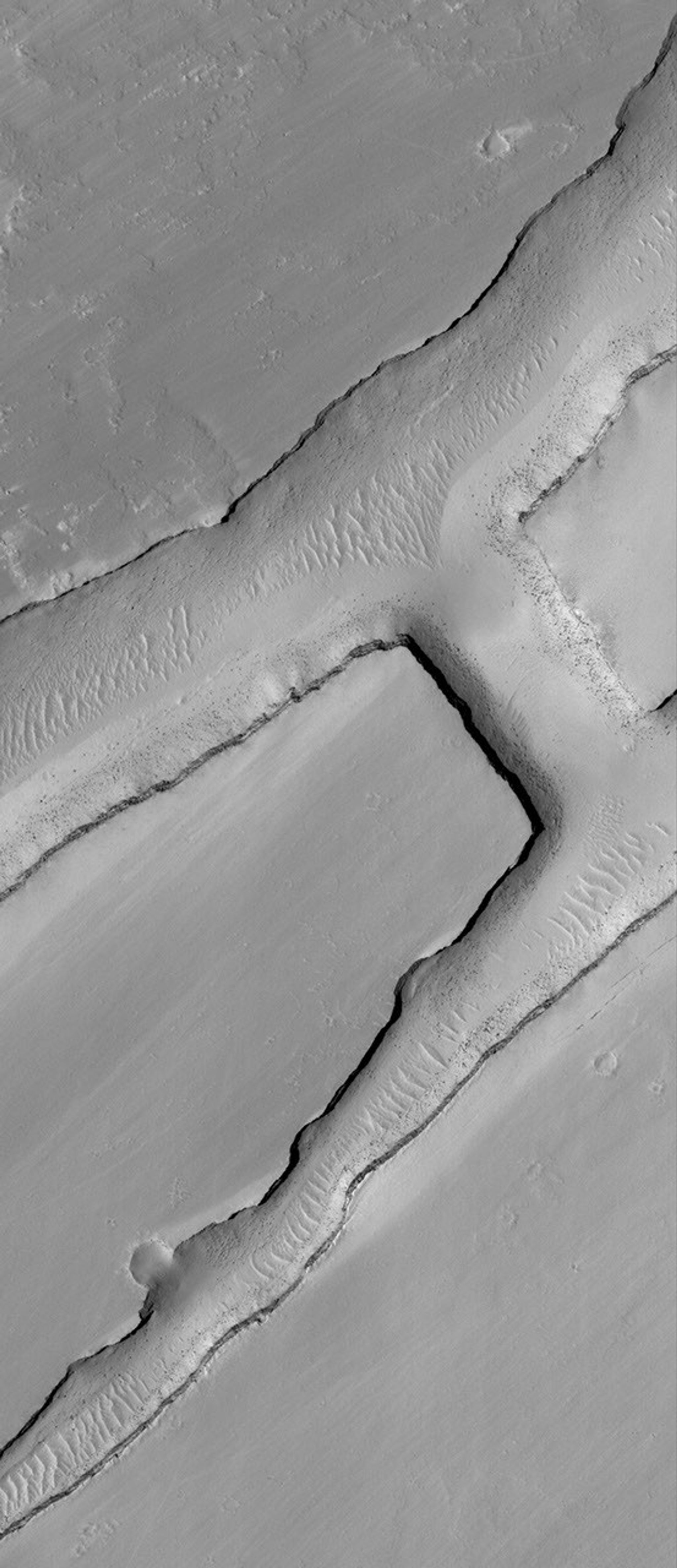 NASA's Mars Global Surveyor shows a small portion of a dust-covered plain directly north of Labyrinthus Noctis on Mars which is cut by three linear troughs.