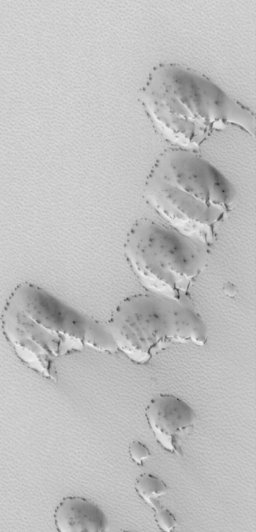 NASA's Mars Global Surveyor shows a group of sand dunes, covered by seasonal carbon dioxide frost, in the martian north polar region. The carbon dioxide frost sublimes away, slowly revealing the dark sand that makes up the dunes.