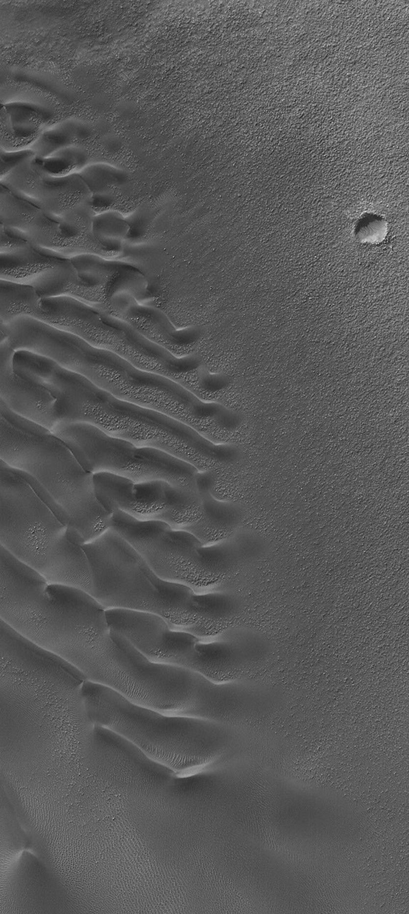 This image from NASA's Mars Global Surveyor shows a steep a field of dark sand dunes in an unnamed crater in the Noachis Terra/Hellespontus region of Mars.