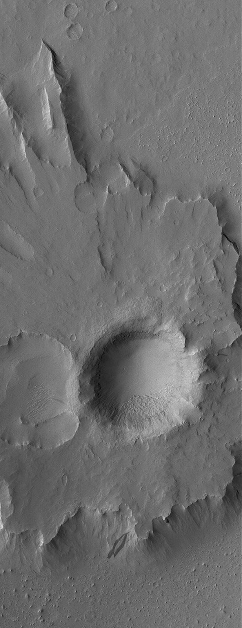 This image from NASA's Mars Global Surveyor shows a pedestal crater in the Eumenides Dorsum region of Mars.