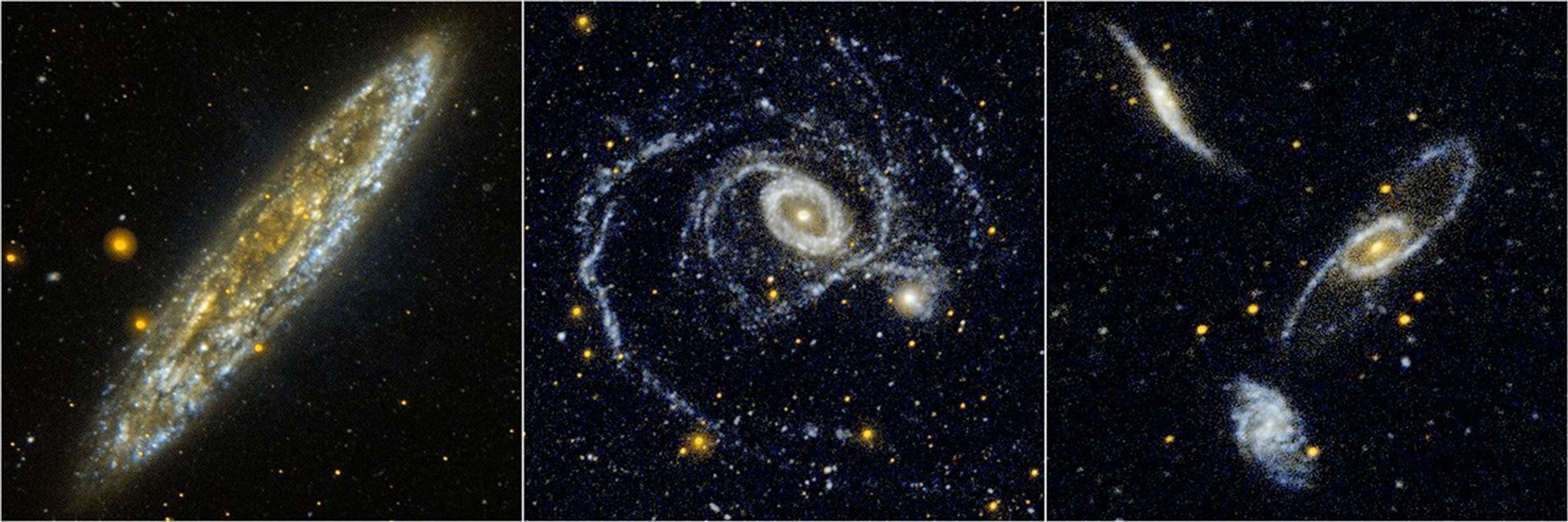 Located 10 million light-years away in the southern constellation Sculptor, the Silver Dollar galaxy, or NGC 253, is one of the brightest spiral galaxies in the night sky as seen in this edge-on view from NASA's Galaxy Evolution Explorer.