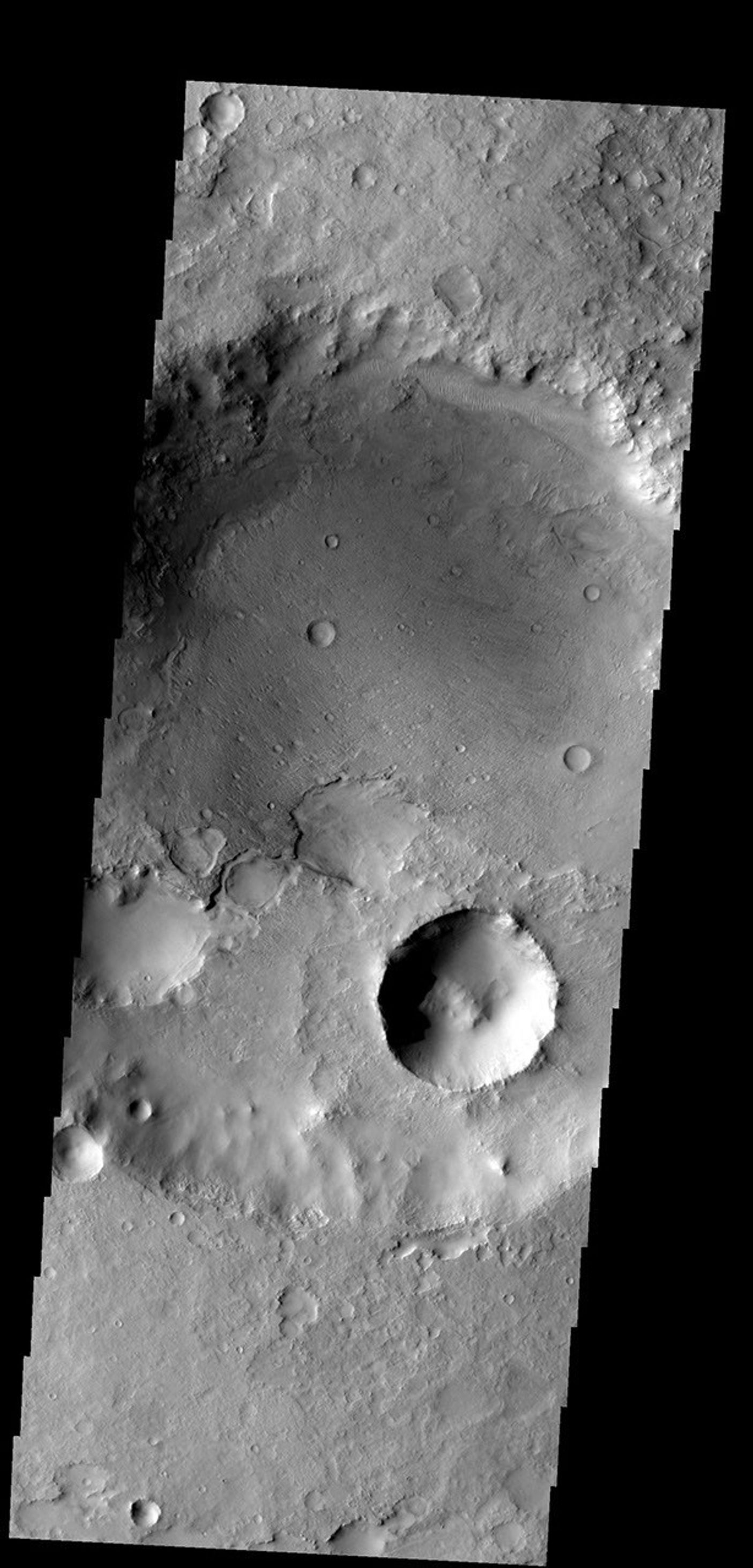 This crater, on the northern margin of Syrtis Major, has been filled with material that is now being removed on Mars as seen by NASA's Mars Odyssey spacecraft.