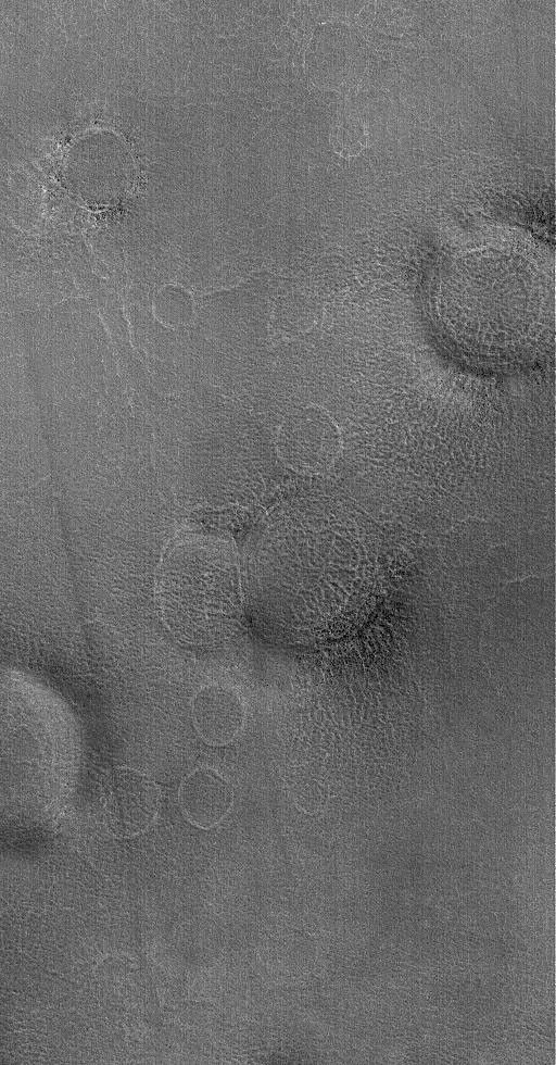 This image from NASA's Mars Global Surveyor shows a suite of rings on the martian northern plains. Each ring marks the location of a filled and buried (or, in some cases, mostly-filled and nearly-buried) impact crater.