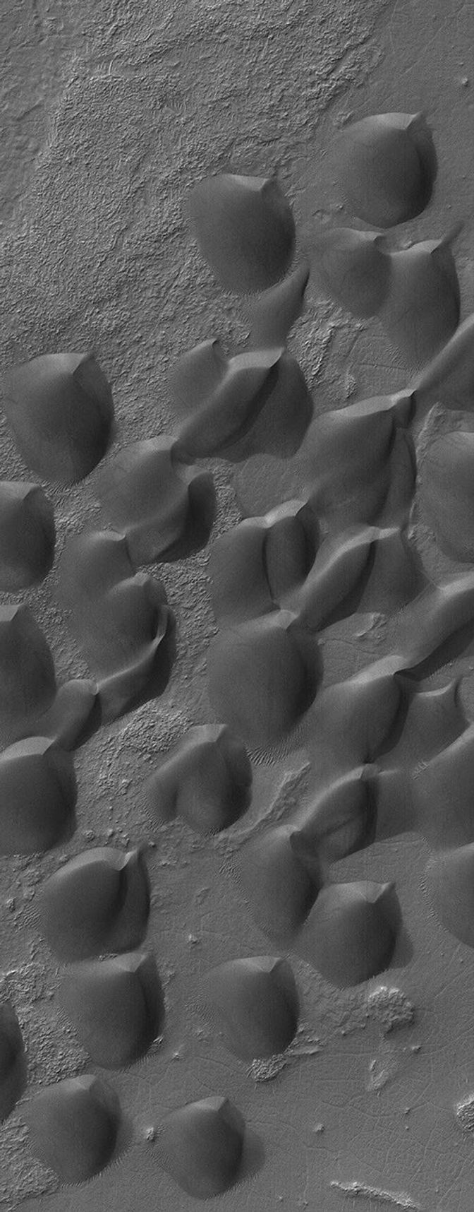 This image from NASA's Mars Global Surveyor shows dark sand dunes, formed by winds blowing from the southwest (lower left), in Wirtz Crater. The crater is named for Carl Wilhelm Wirtz, a German astronomer.