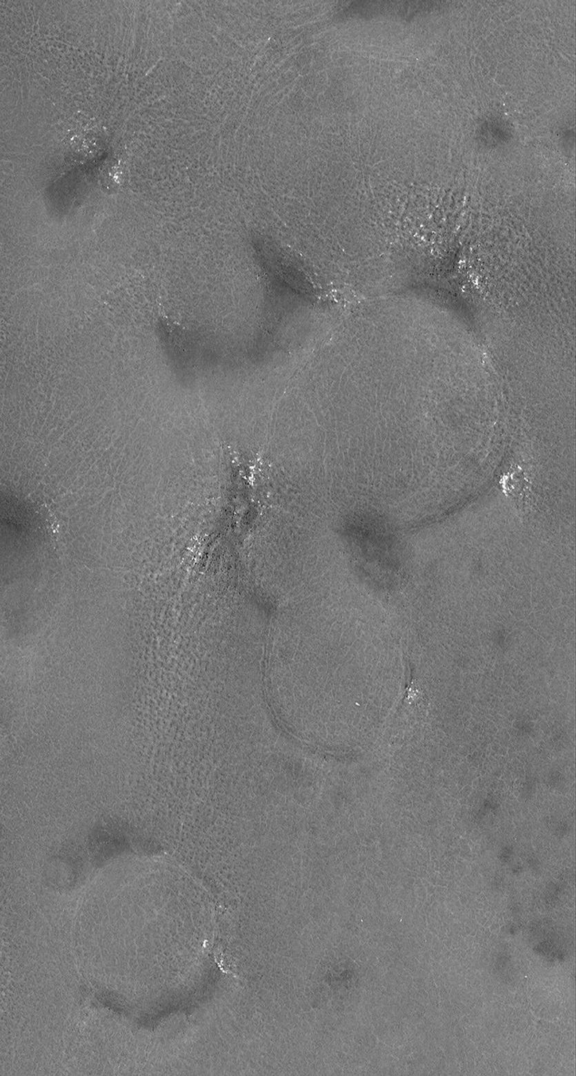 This image from NASA's Mars Global Surveyor shows rugged terrain in the northern plains. The circular features are old, buried impact craters.