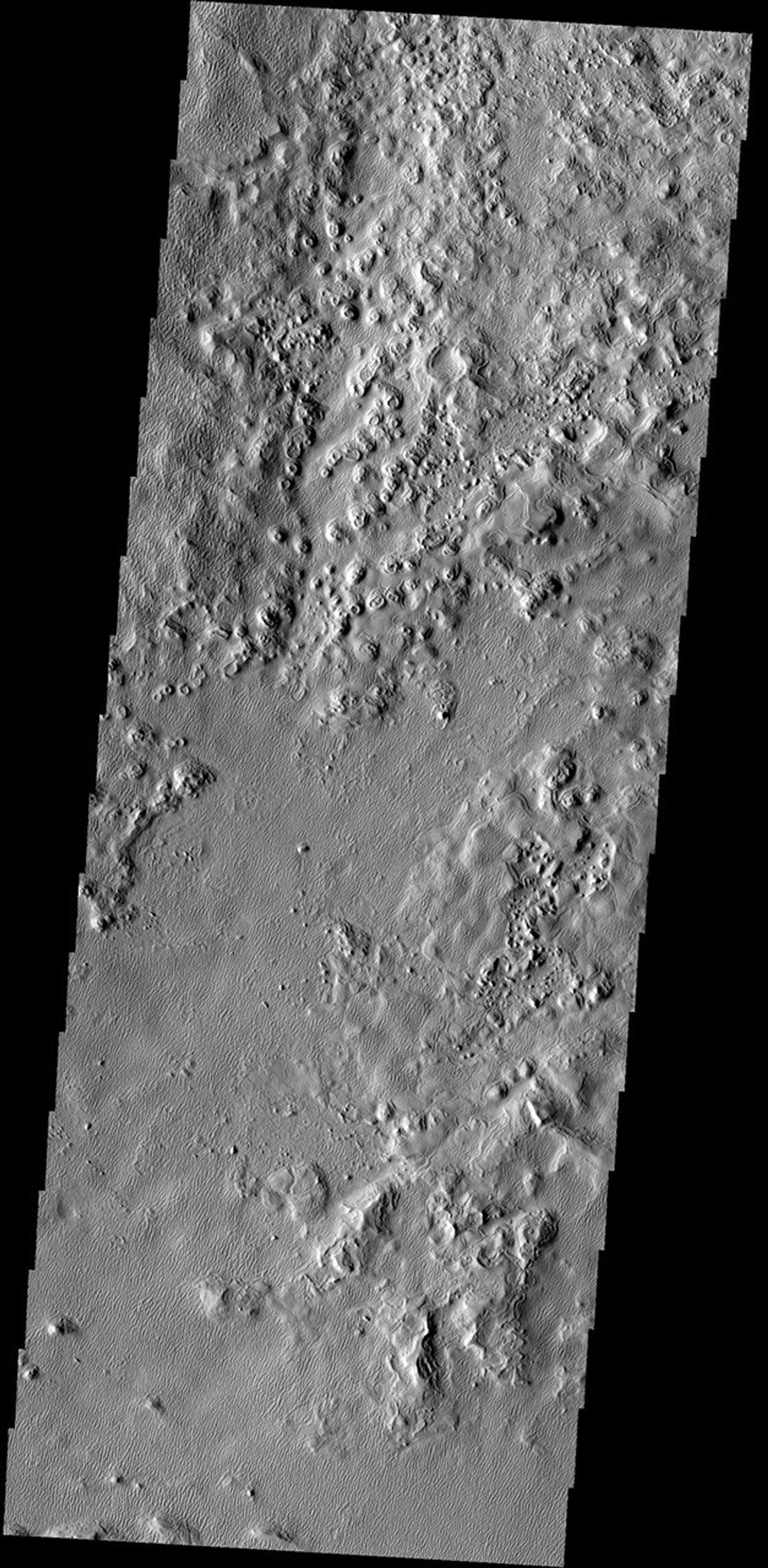 This image of a region east of Acheron Fossae shows an unusual texture - with bumps and old stabilized dunes on Mars as seen by NASA's Mars Odyssey spacecraft.