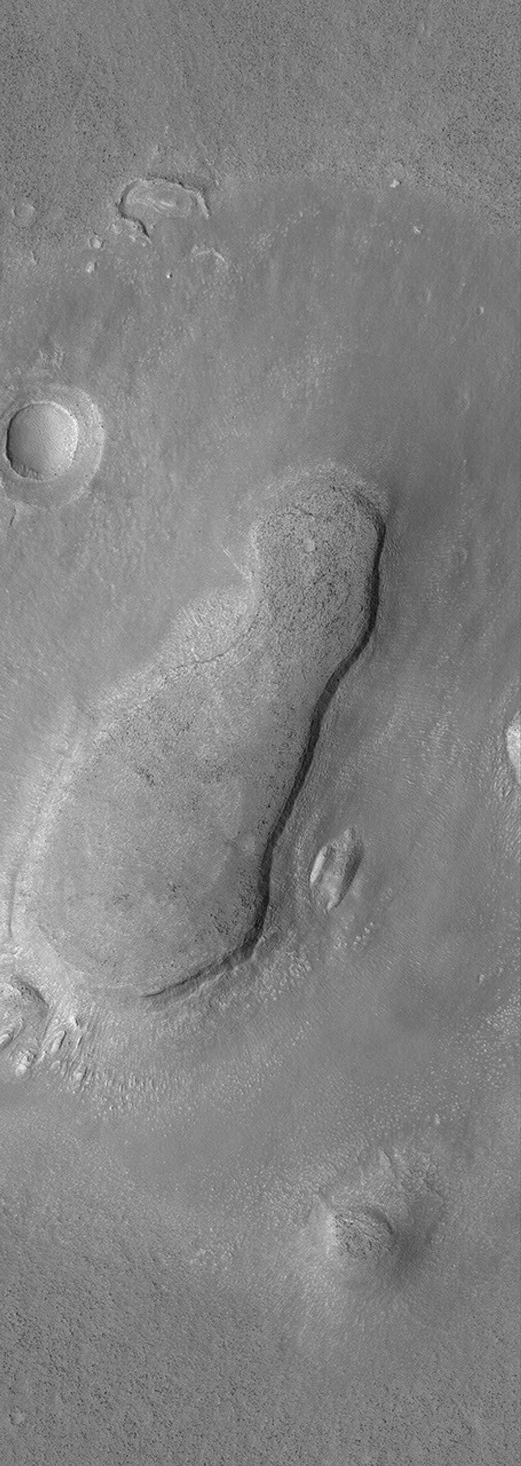 This image from NASA's Mars Global Surveyor shows a mesa and an impact grater just east of Phlegra Montes. The mesa is the eroded remnant of a once more extensive terrain. An apron of material surrounds the mesa.