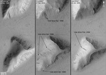 Click here for annotated figure 7 of PIA09030