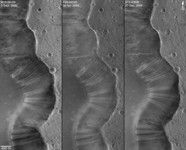 Click here for annotated figure 8 of PIA09030