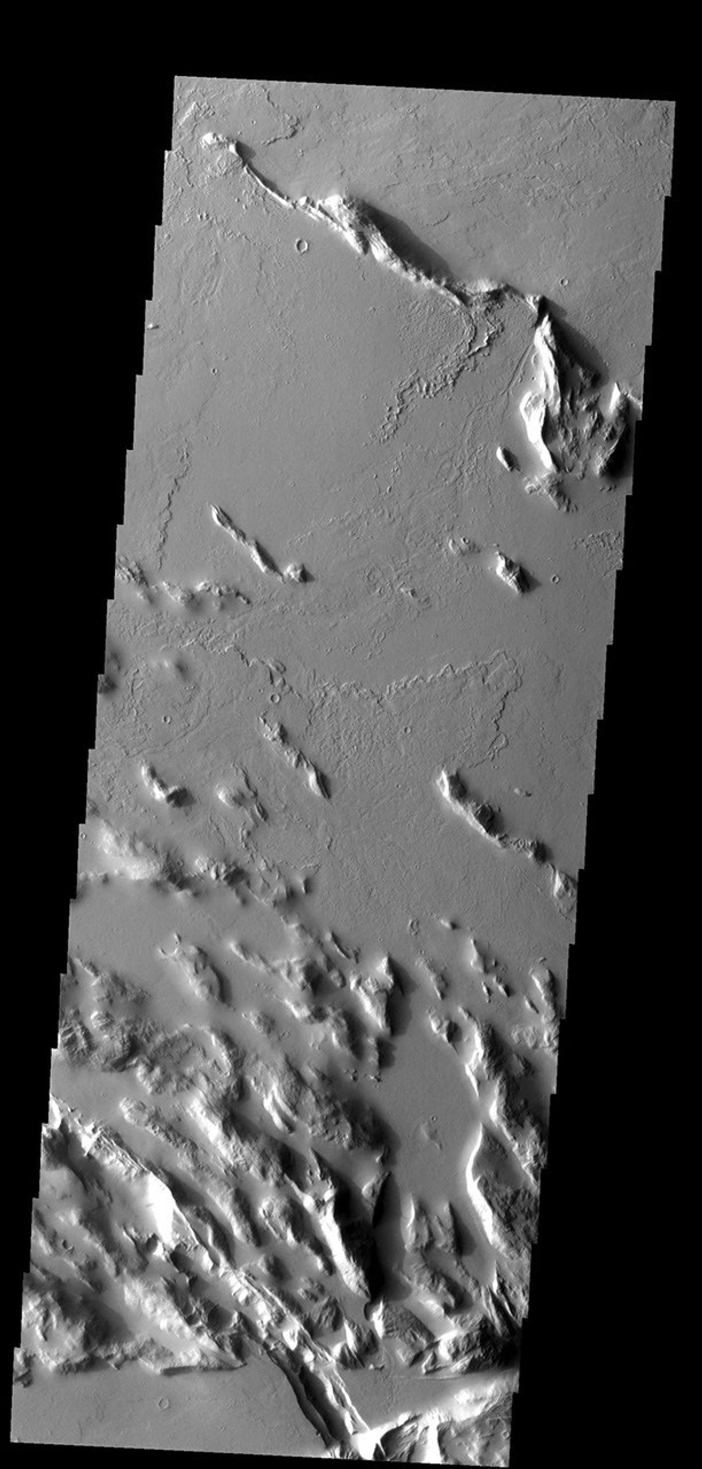 The ridges and infilling lava flows make up the region termed Gordii Sulci on Mars as seen by NASA's Mars Odyssey spacecraft.