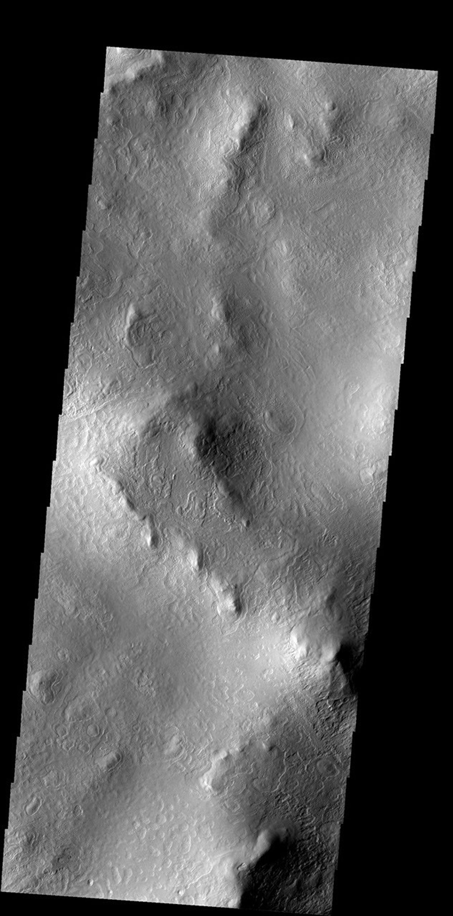 This interesting surface texture covers the ejecta of Mie Crater on Mars as seen by NASA's Mars Odyssey spacecraft.