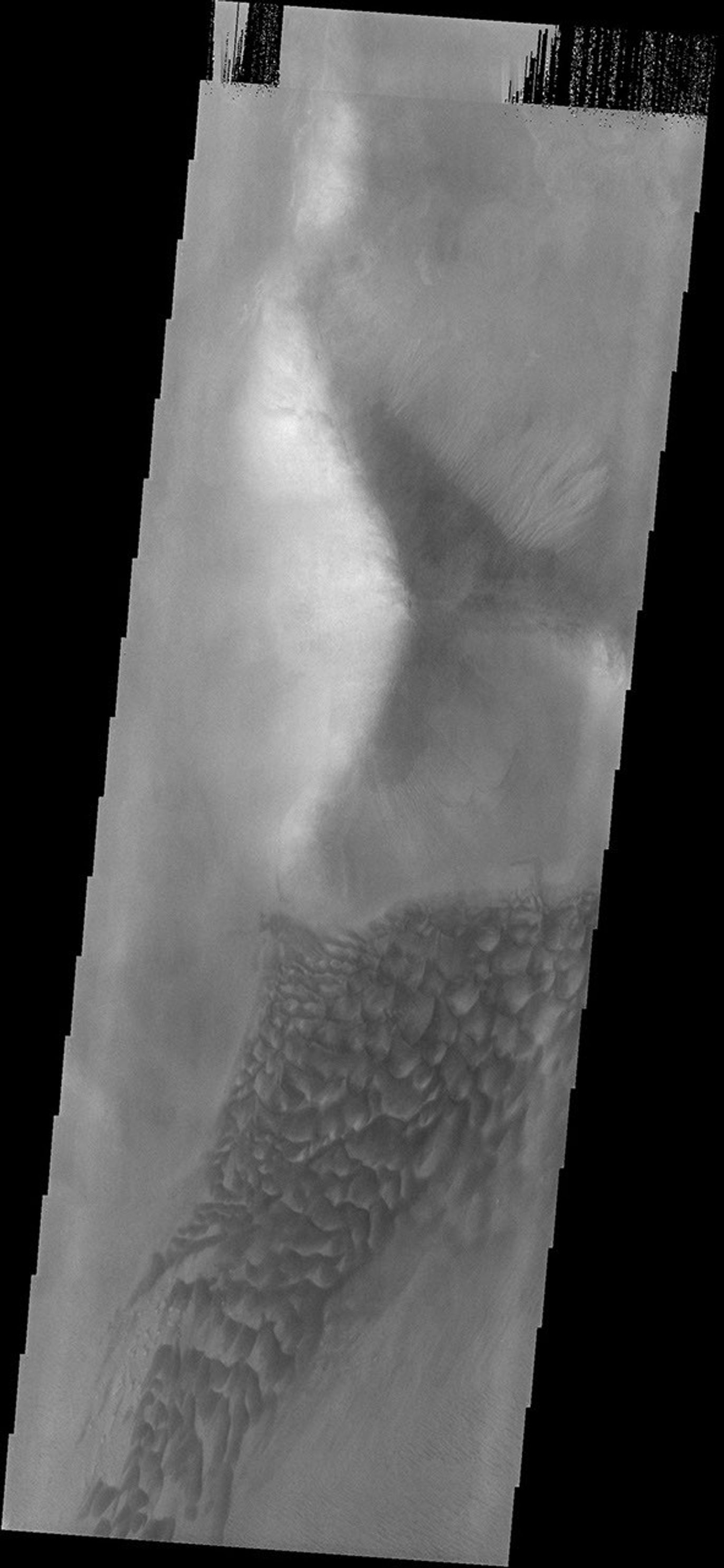 This image from NASA's Mars Odyssey spacecraft shows a dune field located on the northwest margin of the Argyre Basin.
