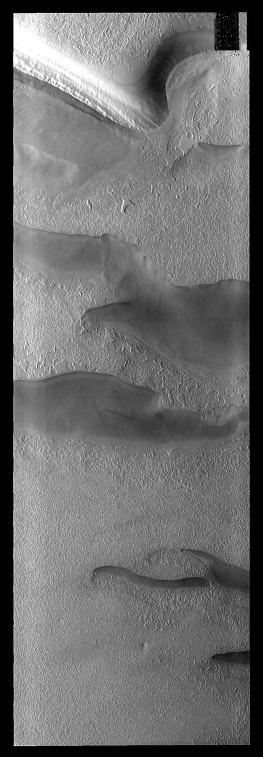 This image from NASA's Mars Odyssey spacecraft shows Mars' south pole has different surface textures and darker depression. Layering is visible in the plateau at the top of the image.