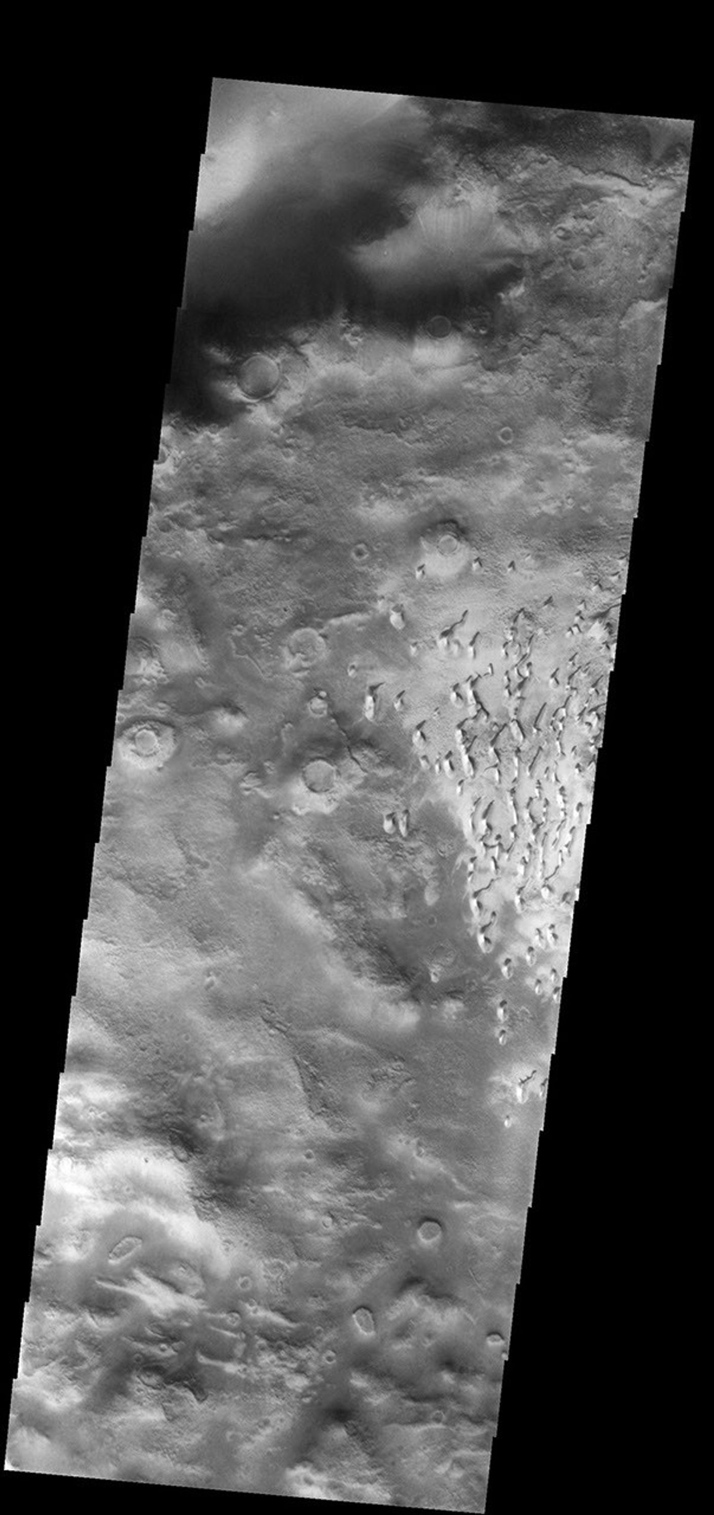 This image from NASA's Mars Odyssey spacecraft shows a field of small dunes, located on the floor of an unnamed crater in the southern hemisphere of Mars.