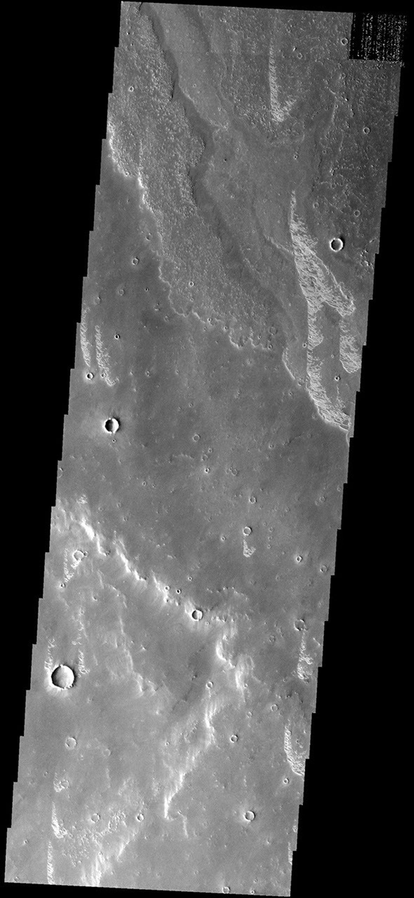 This image from NASA's Mars Odyssey spacecraft shows small, bright, linear dunes located on lava flows from Arsia Mons.