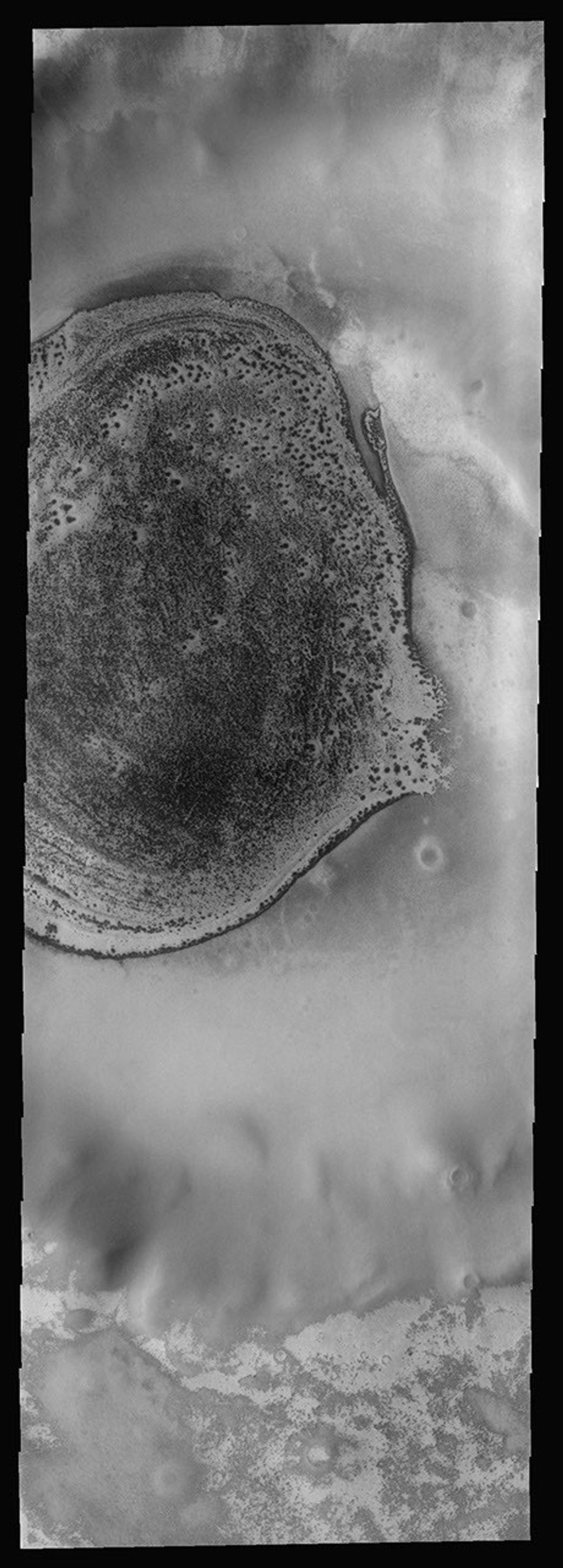 This THEMIS as art image from NASA's Mars Odyssey spacecraft looks like a flounder, or maybe a deep sea trigger fish. The sand deposit on the floor of this polar crater on Mars is still partially frost covered.