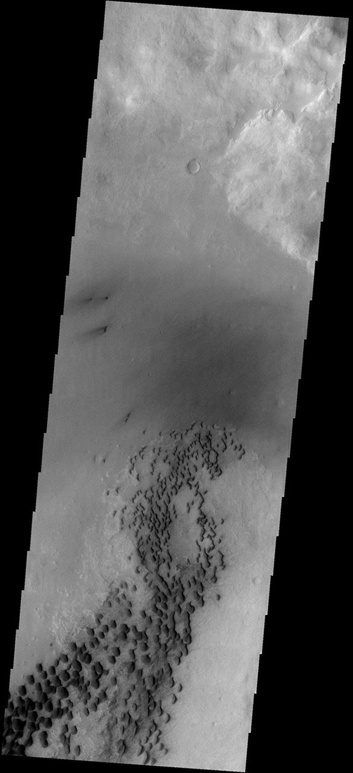 This image from NASA's Mars Odyssey spacecraft shows sand dunes located on the floor of Wirtz Crater.