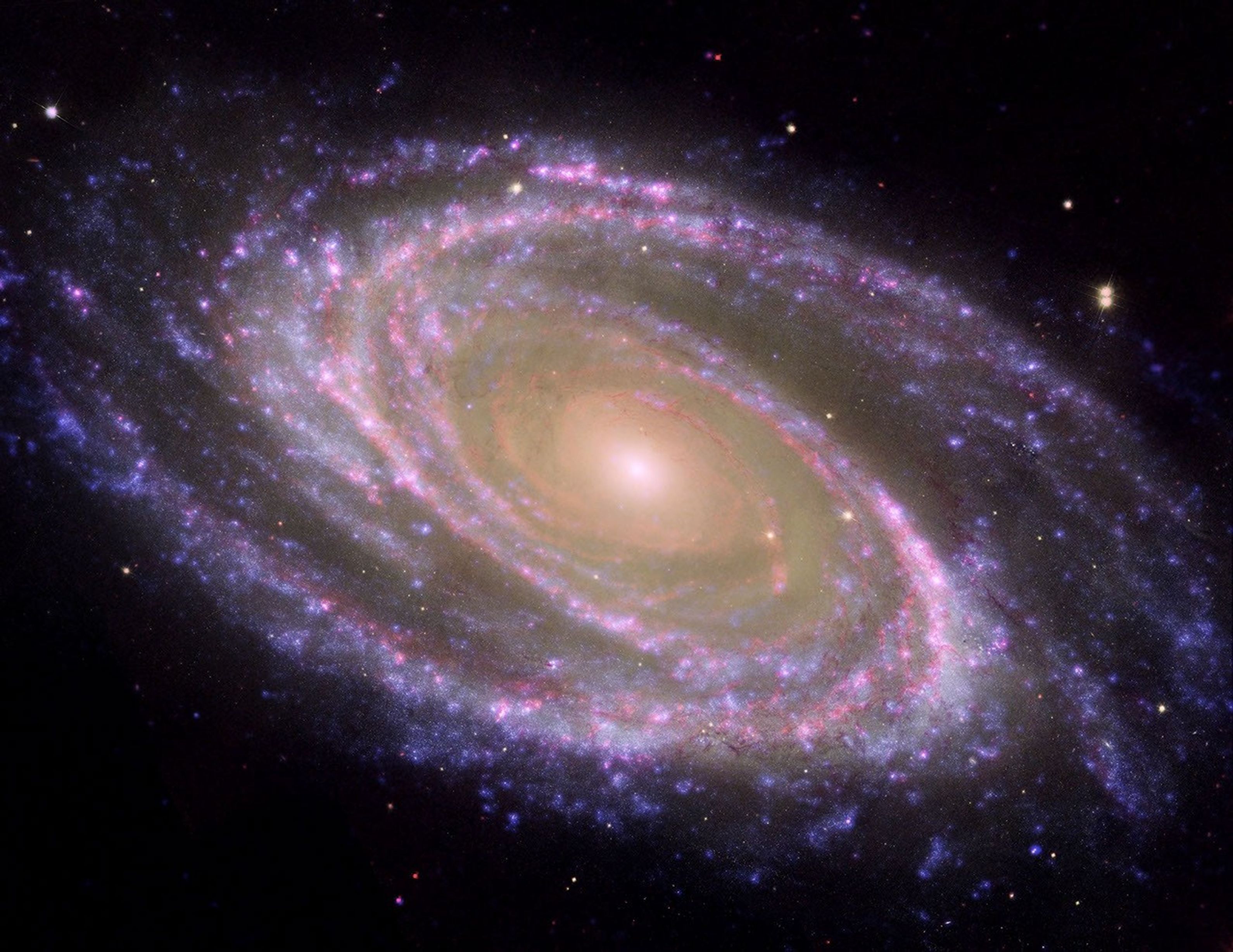 The perfectly picturesque spiral galaxy known as Messier 81, or M81, looks sharp in this new composite from NASA's Spitzer and Hubble space telescopes and NASA's Galaxy Evolution Explorer.