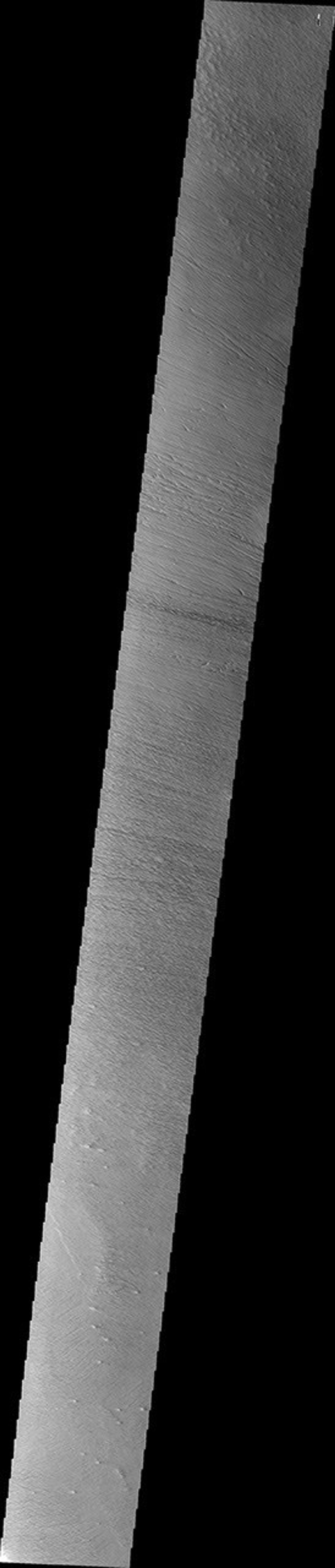 This image from NASA's Mars Odyssey spacecraft shows the Medusa Fossae Formation located east of the Tharsis volcanoes. The materials of the formation are easily eroded by the wind