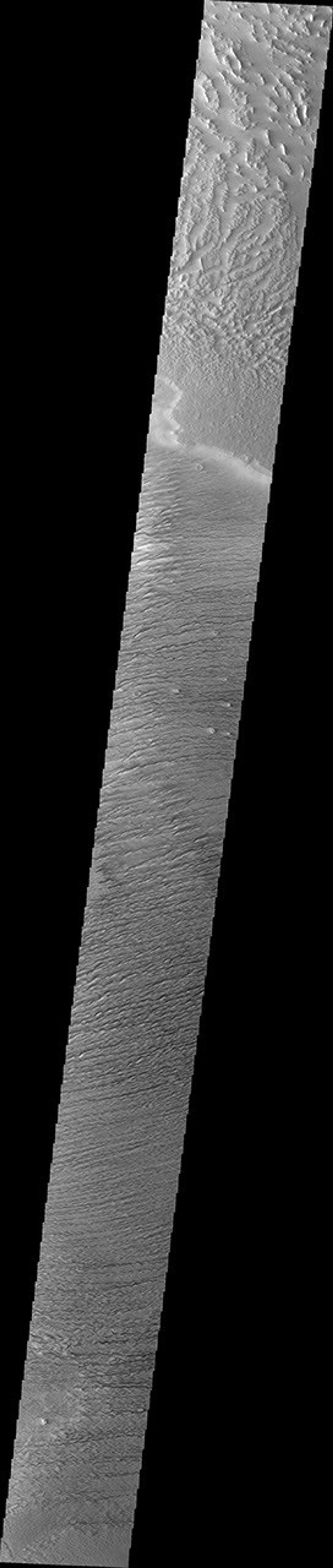This image from NASA's Mars Odyssey spacecraft shows the Medusa Fossae Formation located east of the Tharsis volcanoes. The materials of the formation are easily eroded by the wind