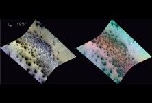 Click here for FRT00004959, L<sub>s</sub> 195 of PIA10137