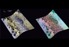 Click here for FRT000049C2, L<sub>s</sub> 196 of PIA10137