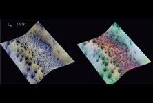 Click here for FRT00004B45, L<sub>s</sub> 199 of PIA10137