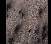 Click here for PIA10141 Figure 1